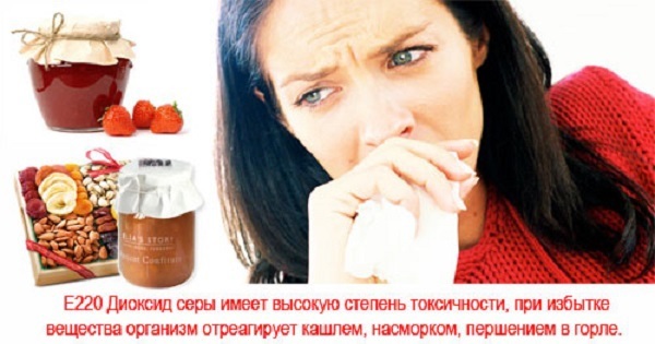 Е220 консервант
