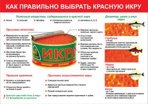 Как правильно выбрать икру