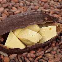 Масло какао