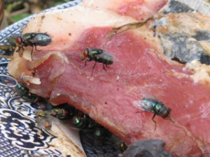 Отравление мясом