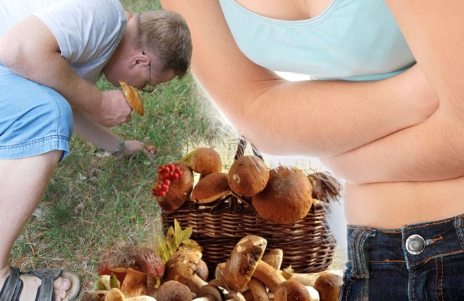 Симптомы отравления груздями