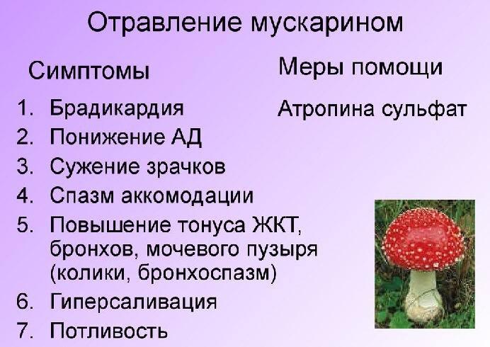 Признаки отравления мускарином