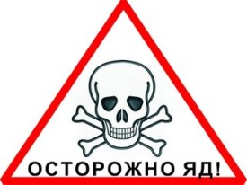 В мухоморах содержиться яд