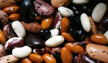 Как происходит отравление фасолью