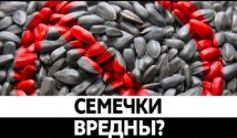 Могут ли семечки быть вредными?