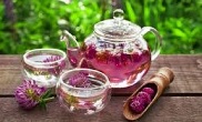 Клевер для снижения холестерина