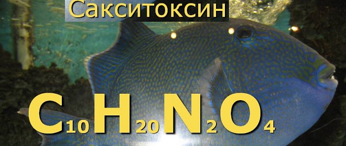 Сакситоксин 